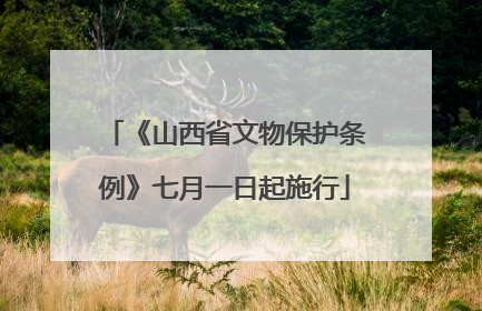 《山西省文物保护条例》七月一日起施行