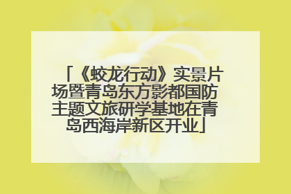 《蛟龙行动》实景片场暨青岛东方影都国防主题文旅研学基地在青岛西海岸新区开业