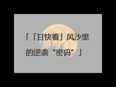「甘快看」风沙里的逆袭“密码”