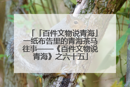 「百件文物说青海」一纸布告里的青海茶马往事——《百件文物说青海》之六十五