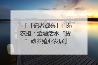 「记者观察」山东农担：金融活水“贷”动养殖业发展