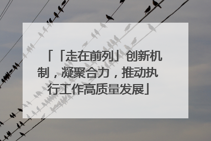 「走在前列」创新机制，凝聚合力，推动执行工作高质量发展
