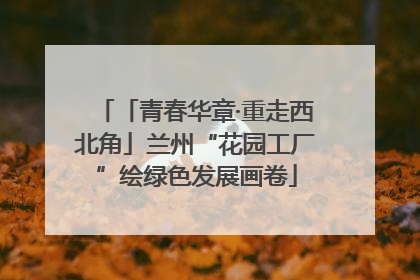「青春华章·重走西北角」兰州“花园工厂”绘绿色发展画卷