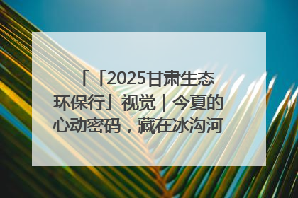 「2025甘肃生态环保行」视觉｜今夏的心动密码，藏在冰沟河的潋滟波光里