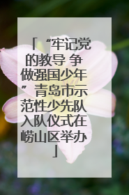 “牢记党的教导 争做强国少年”青岛市示范性少先队入队仪式在崂山区举办