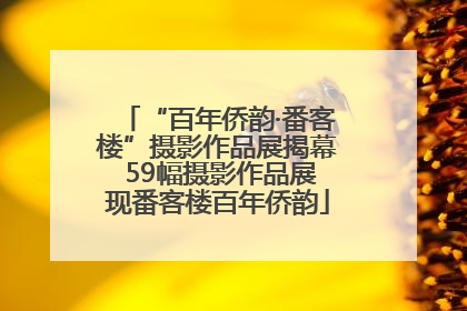 “百年侨韵·番客楼”摄影作品展揭幕 59幅摄影作品展现番客楼百年侨韵