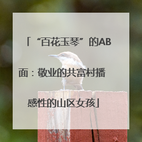 “百花玉琴”的AB面：敬业的共富村播 感性的山区女孩