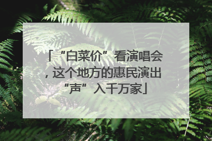 “白菜价”看演唱会，这个地方的惠民演出“声”入千万家