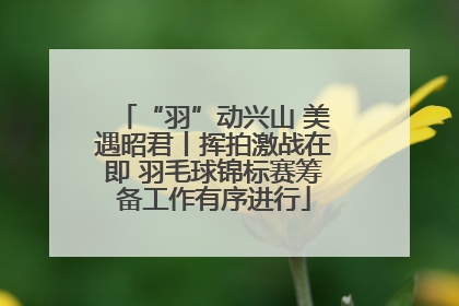 “羽”动兴山 美遇昭君丨挥拍激战在即 羽毛球锦标赛筹备工作有序进行