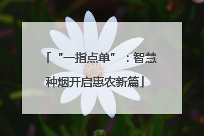 “一指点单”：智慧种烟开启惠农新篇
