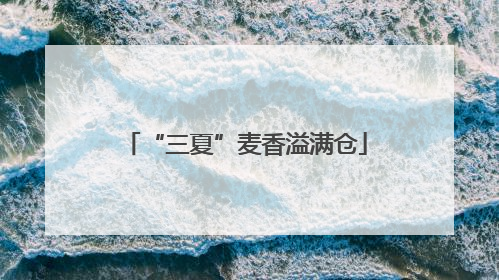 “三夏”麦香溢满仓