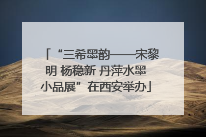 “三希墨韵——宋黎明 杨稳新 丹萍水墨小品展”在西安举办