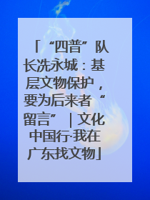 “四普”队长冼永城：基层文物保护，要为后来者“留言”｜文化中国行·我在广东找文物