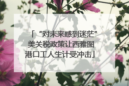 “对未来感到迷茫” 美关税政策让西雅图港口工人生计受冲击
