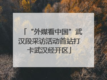 “外媒看中国”武汉段采访活动首站打卡武汉经开区