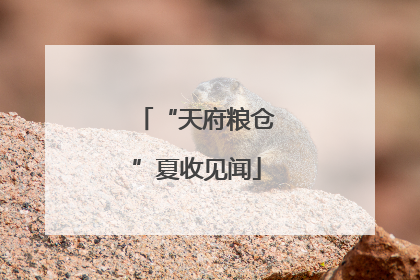 “天府粮仓”夏收见闻
