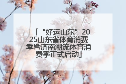 “好运山东”2025山东省体育消费季暨济南潮流体育消费季正式启动