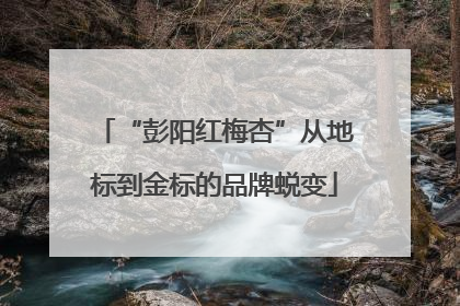 “彭阳红梅杏”从地标到金标的品牌蜕变
