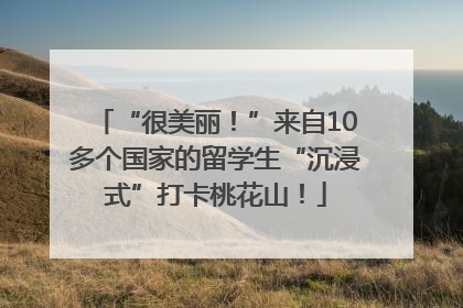 “很美丽！”来自10多个国家的留学生“沉浸式”打卡桃花山！