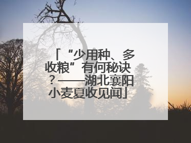 “少用种、多收粮”有何秘诀？——湖北襄阳小麦夏收见闻