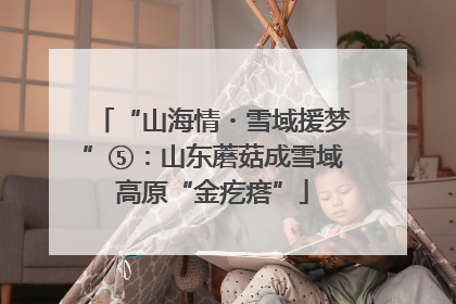 “山海情・雪域援梦”⑤：山东蘑菇成雪域高原“金疙瘩”