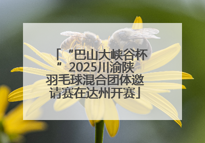 “巴山大峡谷杯”2025川渝陕羽毛球混合团体邀请赛在达州开赛