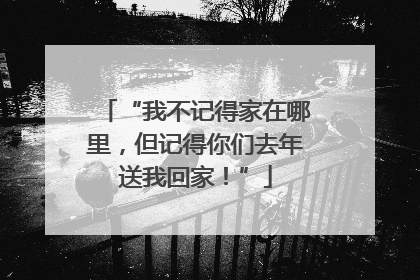 “我不记得家在哪里，但记得你们去年送我回家！”