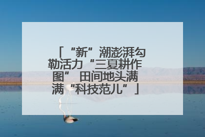“新”潮澎湃勾勒活力“三夏耕作图” 田间地头满满“科技范儿”