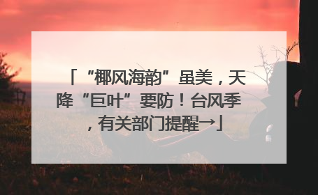 “椰风海韵”虽美，天降“巨叶”要防！台风季，有关部门提醒→