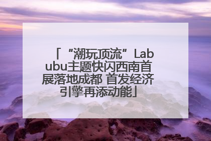 “潮玩顶流”Labubu主题快闪西南首展落地成都 首发经济引擎再添动能