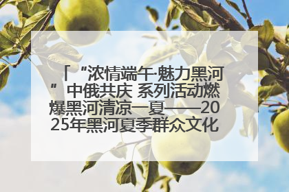 “浓情端午·魅力黑河”中俄共庆 系列活动燃爆黑河清凉一夏——2025年黑河夏季群众文化活动启幕 多元文化赋能边境文旅新高地