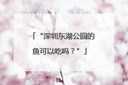 “深圳东湖公园的鱼可以吃吗？”