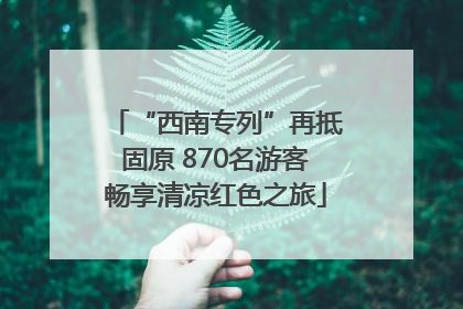 “西南专列”再抵固原 870名游客畅享清凉红色之旅