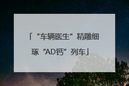 “车辆医生”精雕细琢“AD钙”列车