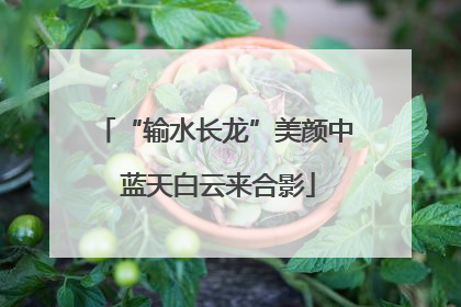 “输水长龙”美颜中 蓝天白云来合影