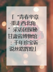 “青春华章·重走西北角”采访团探秘甘肃省博物馆：千年珍宝诉说丝路辉煌