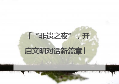 “非遗之夜”，开启文明对话新篇章
