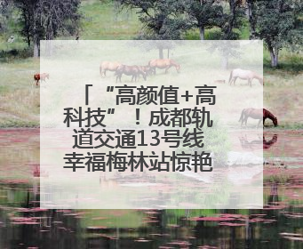 “高颜值+高科技”！成都轨道交通13号线幸福梅林站惊艳亮相