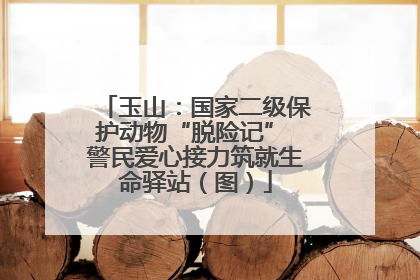 玉山：国家二级保护动物“脱险记” 警民爱心接力筑就生命驿站（图）