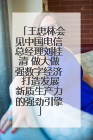 王忠林会见中国电信总经理刘桂清 做大做强数字经济 打造发展新质生产力的强劲引擎
