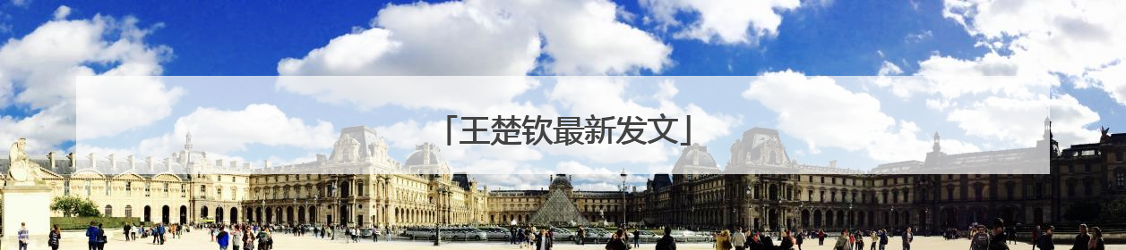 王楚钦最新发文