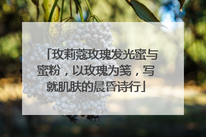 玫莉蔻玫瑰发光蜜与蜜粉，以玫瑰为笺，写就肌肤的晨昏诗行