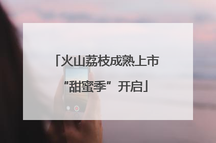 火山荔枝成熟上市 “甜蜜季”开启