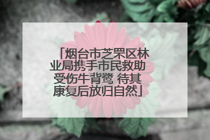 烟台市芝罘区林业局携手市民救助受伤牛背鹭 待其康复后放归自然