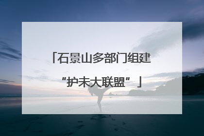 石景山多部门组建“护未大联盟”