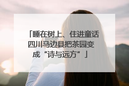 睡在树上、住进童话 四川马边县把茶园变成“诗与远方”