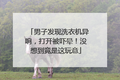 男子发现洗衣机异响，打开被吓晕！没想到竟是这玩意