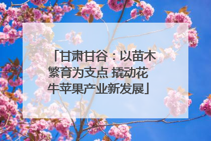 甘肃甘谷：以苗木繁育为支点 撬动花牛苹果产业新发展