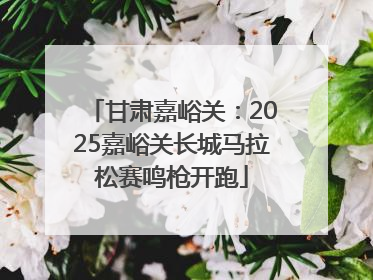 甘肃嘉峪关：2025嘉峪关长城马拉松赛鸣枪开跑