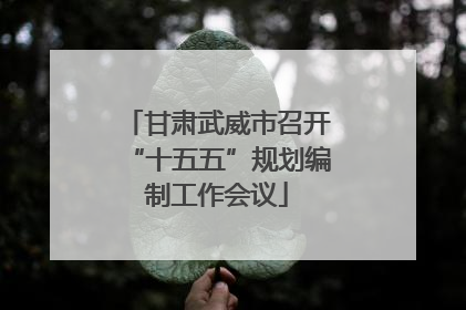 甘肃武威市召开“十五五”规划编制工作会议